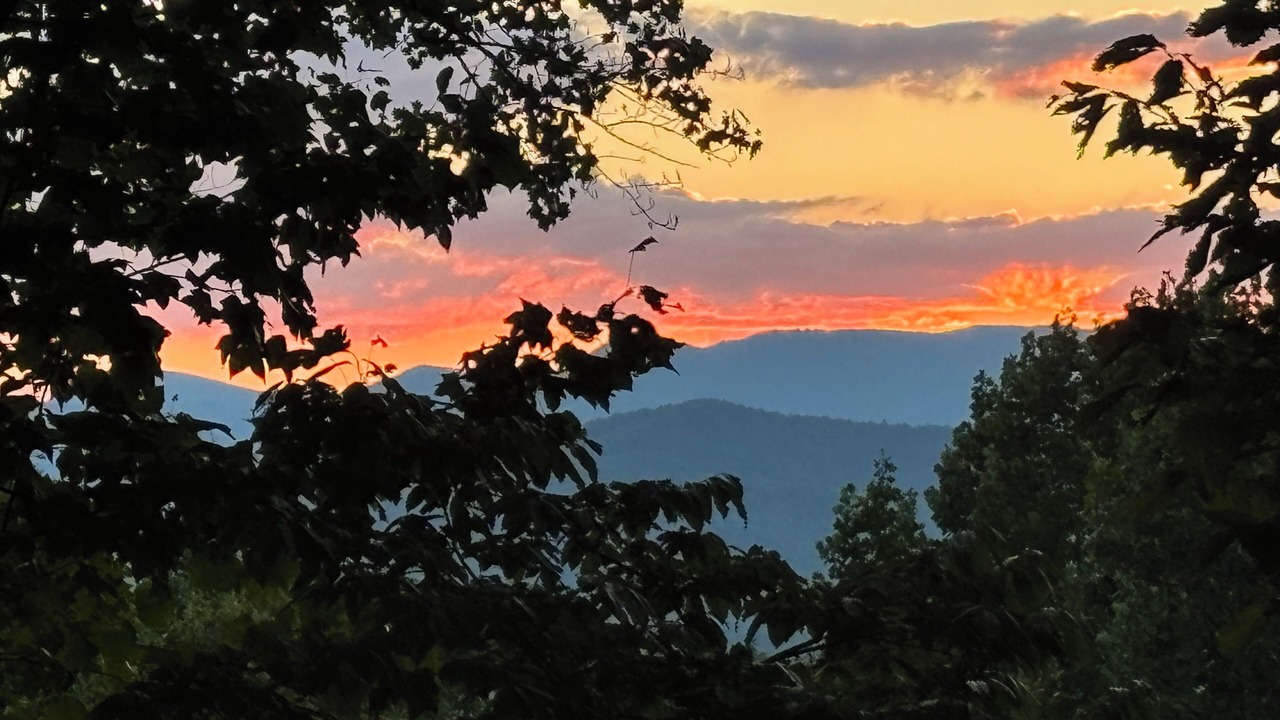 Photo of Others in Pisgah Forest