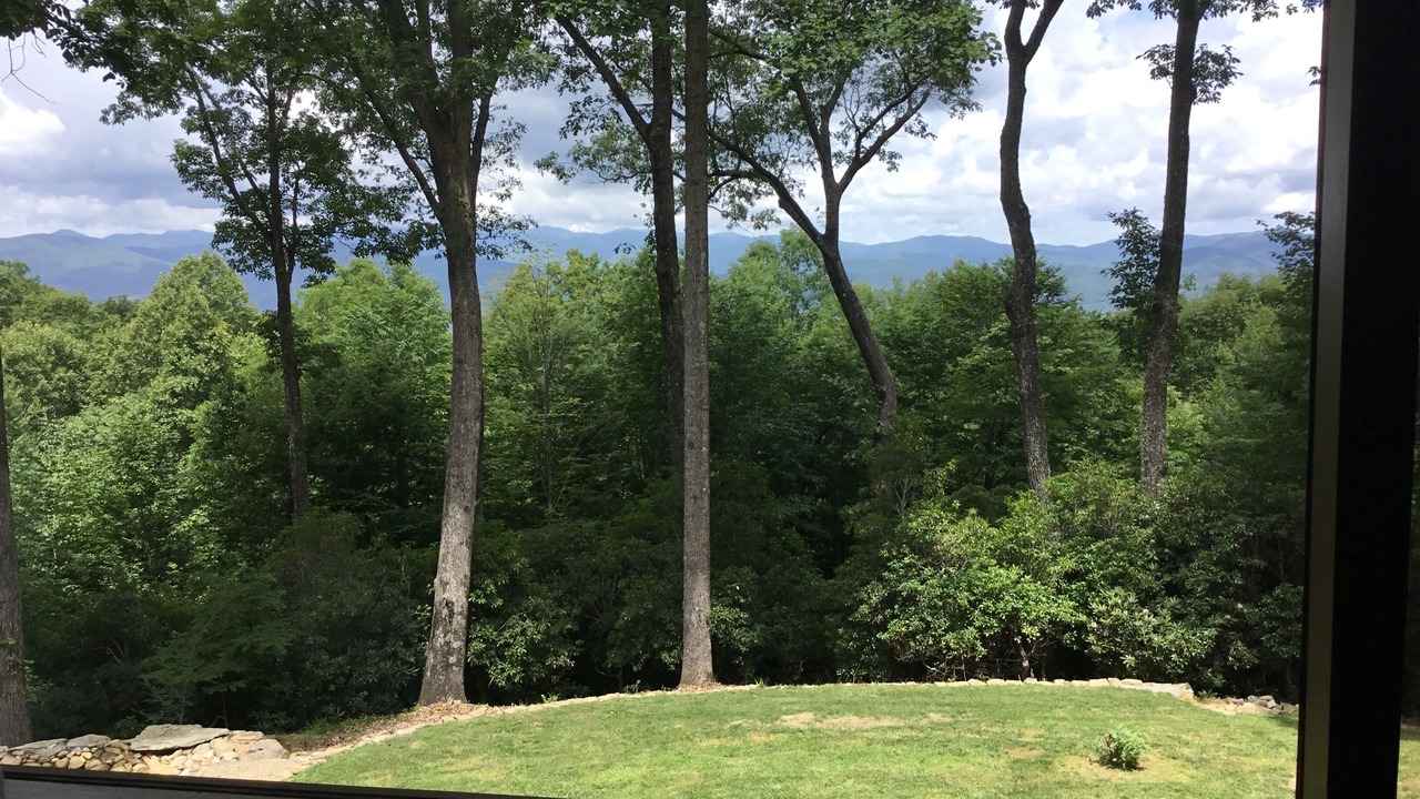 Photo of Others in Pisgah Forest