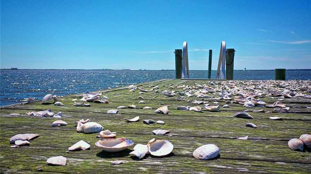 Photo of Outdoor in Morehead City