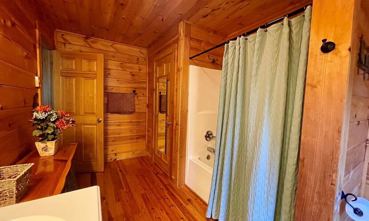 Photo of Bathroom in Buck Mountain