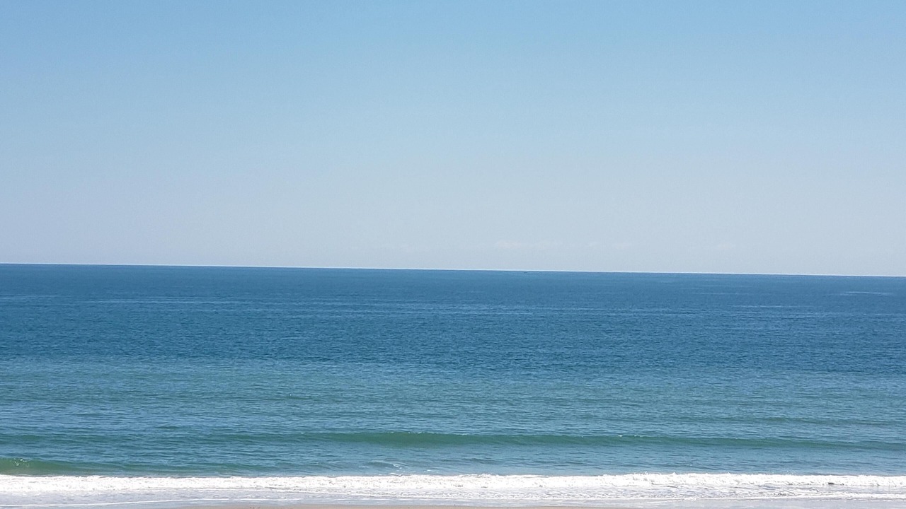 Photo of Others in North Carolina Coast