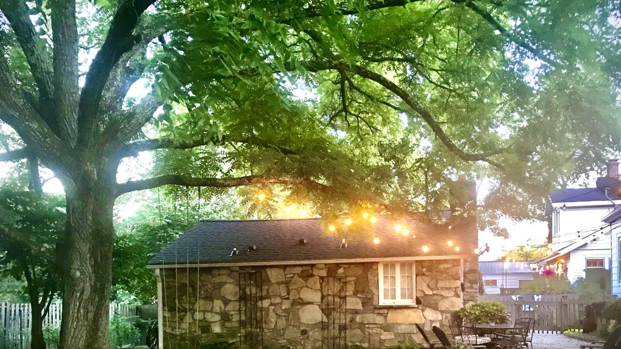Photo of Others in Weaverville