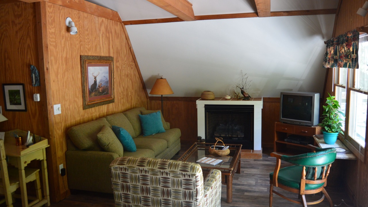 Photo of Livingroom in Weaverville
