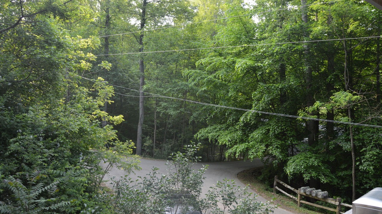 Photo of Others in Weaverville