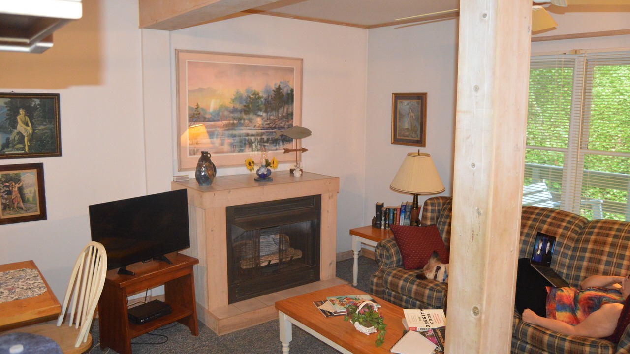 Photo of Livingroom in Weaverville