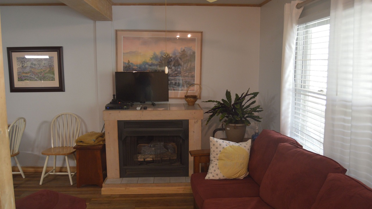 Photo of Livingroom in Weaverville