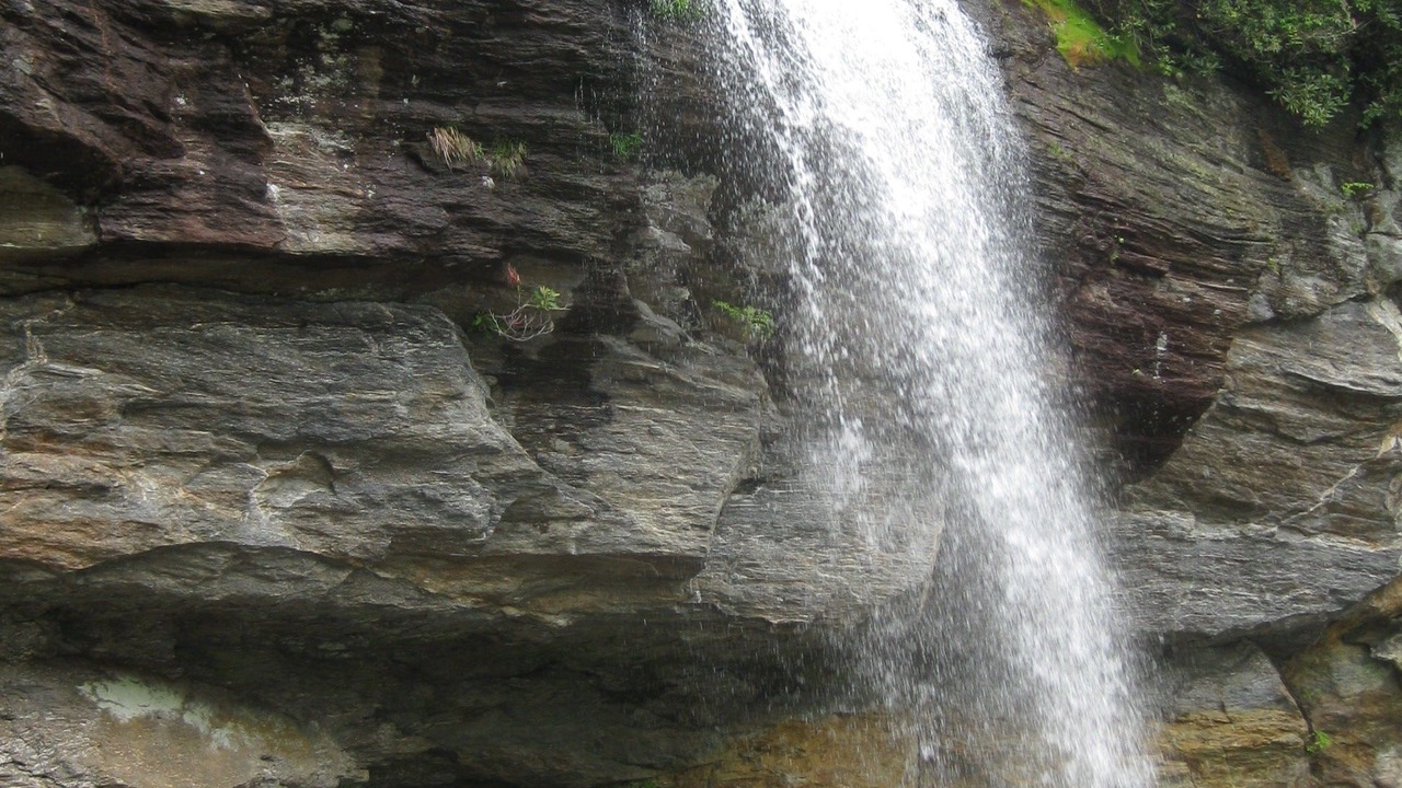 Photo of Others in Franklin