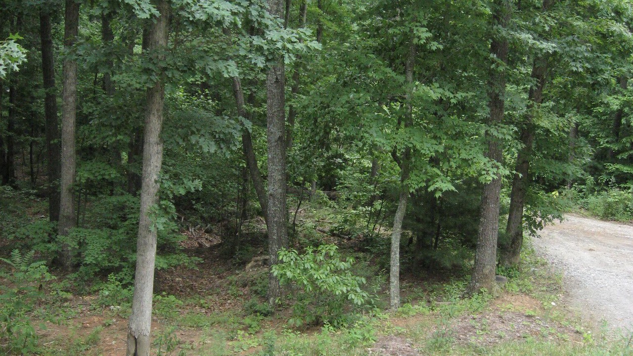 Photo of Outdoor in Asheville