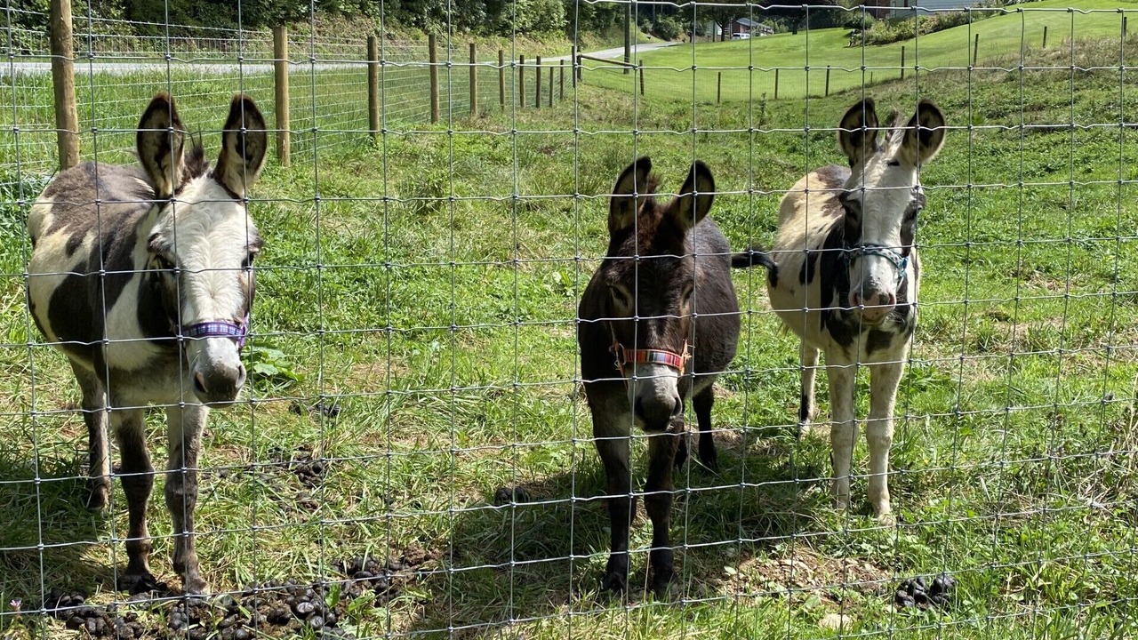 Photo of Others in Deep Gap