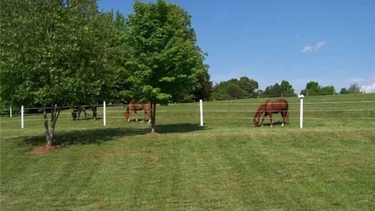 Photo of Outdoor in Barium Springs