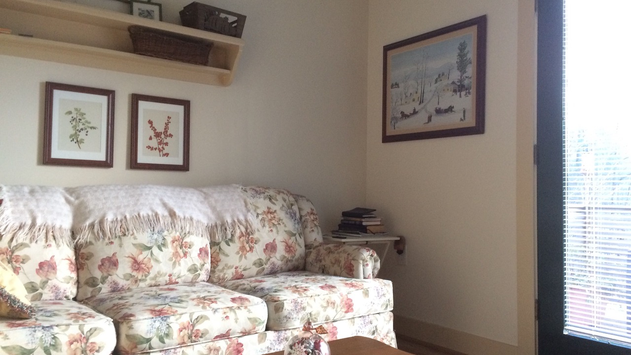 Photo of Livingroom in Hendersonville