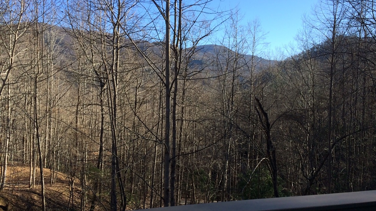 Photo of Others in Hendersonville
