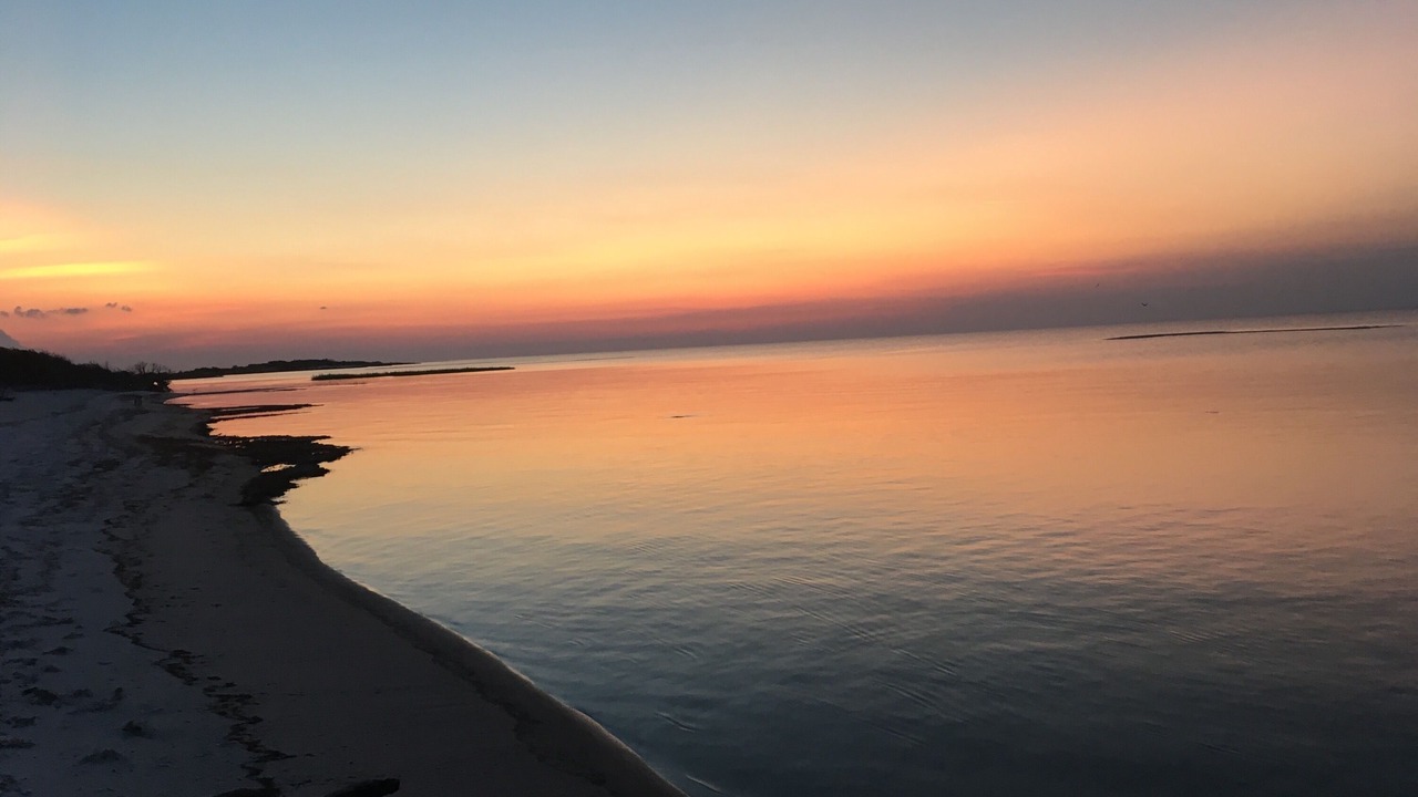 Photo of Others in Cedar Island