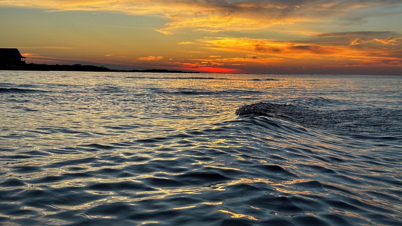 Photo of Others in Cedar Island