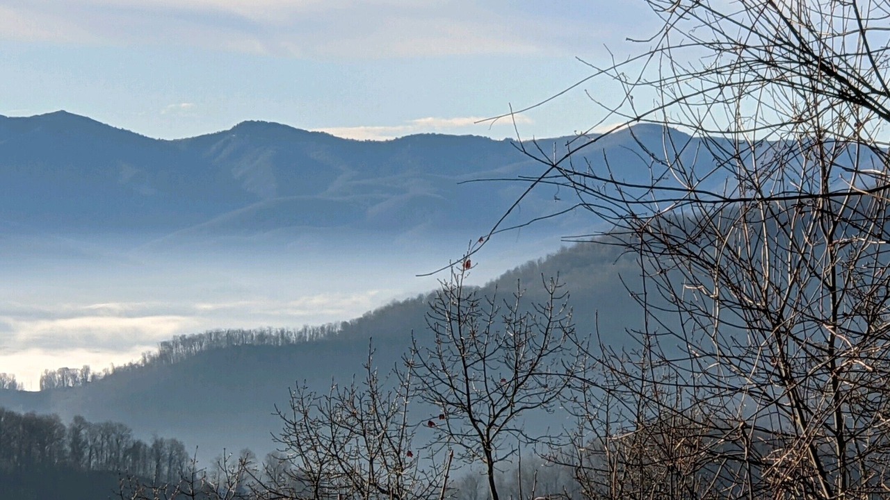 Photo of Others in Waynesville