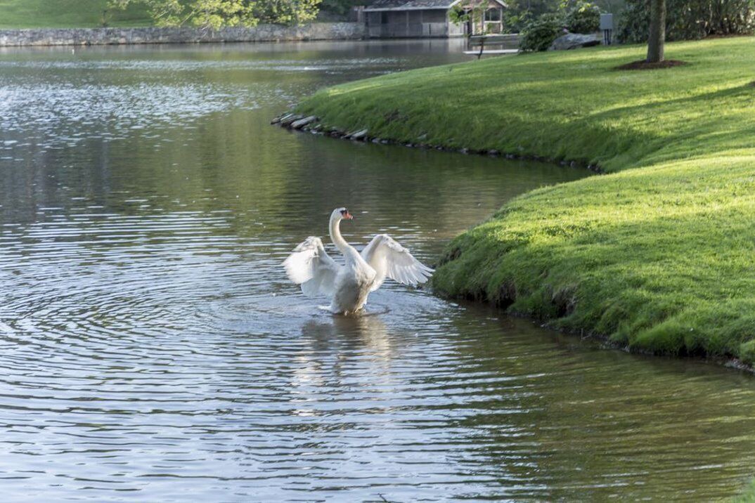 Photo of Outdoor in Blowing Rock