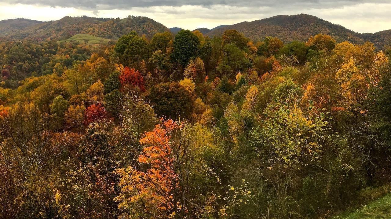 Photo of Outdoor in Clyde