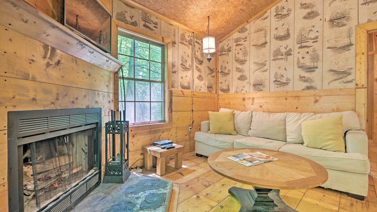 Photo of Livingroom in Barnardsville