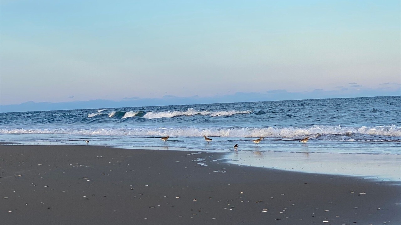 Photo of Others in Hatteras