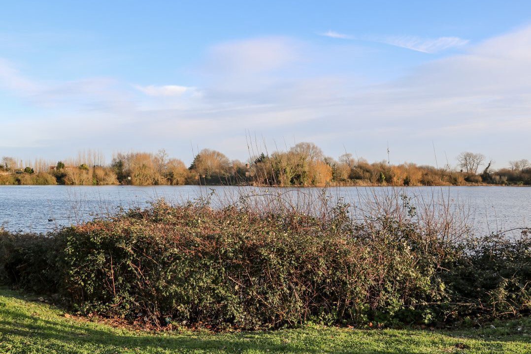 Photo of Others in Chichester