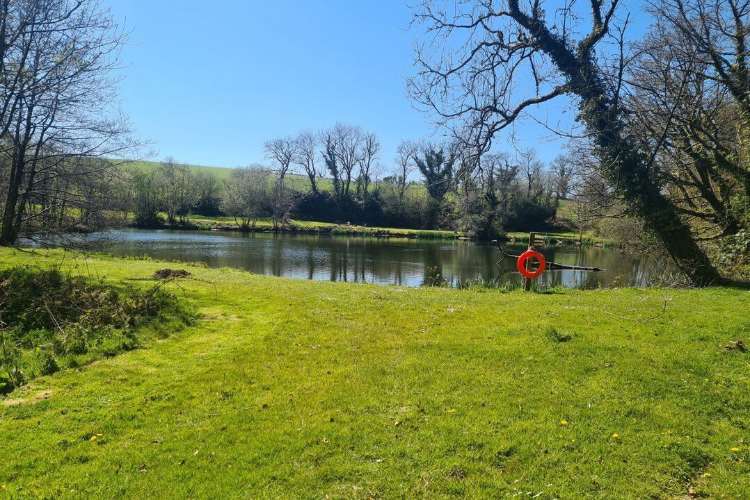 Photo of Others in Whitland