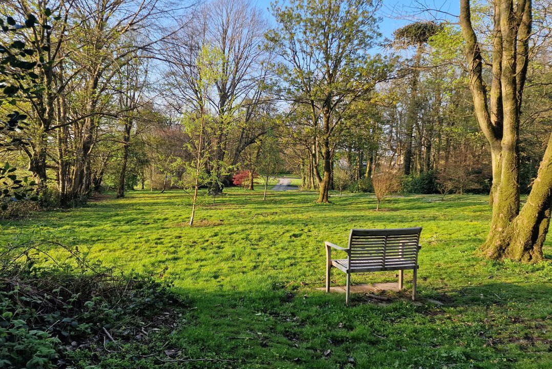 Photo of Others in Whitland