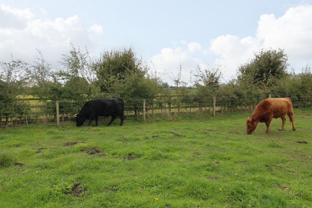Photo of Others in Derbyshire