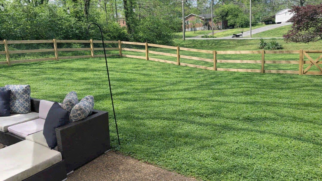 Photo of Outdoor in Nashville
