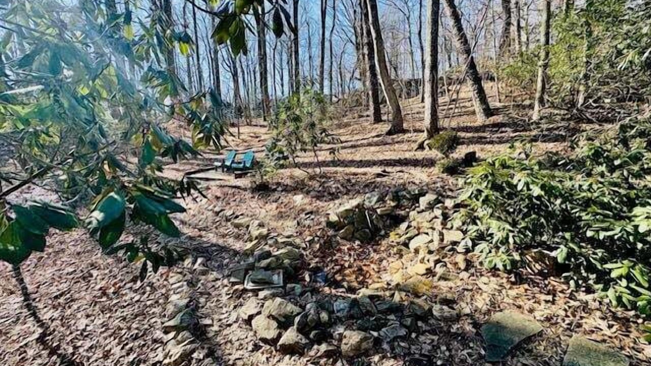 Photo of Outdoor in Hillsville
