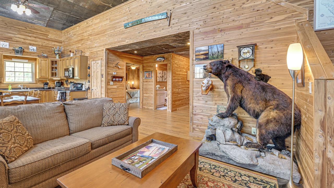 Photo of Livingroom in Cub Run