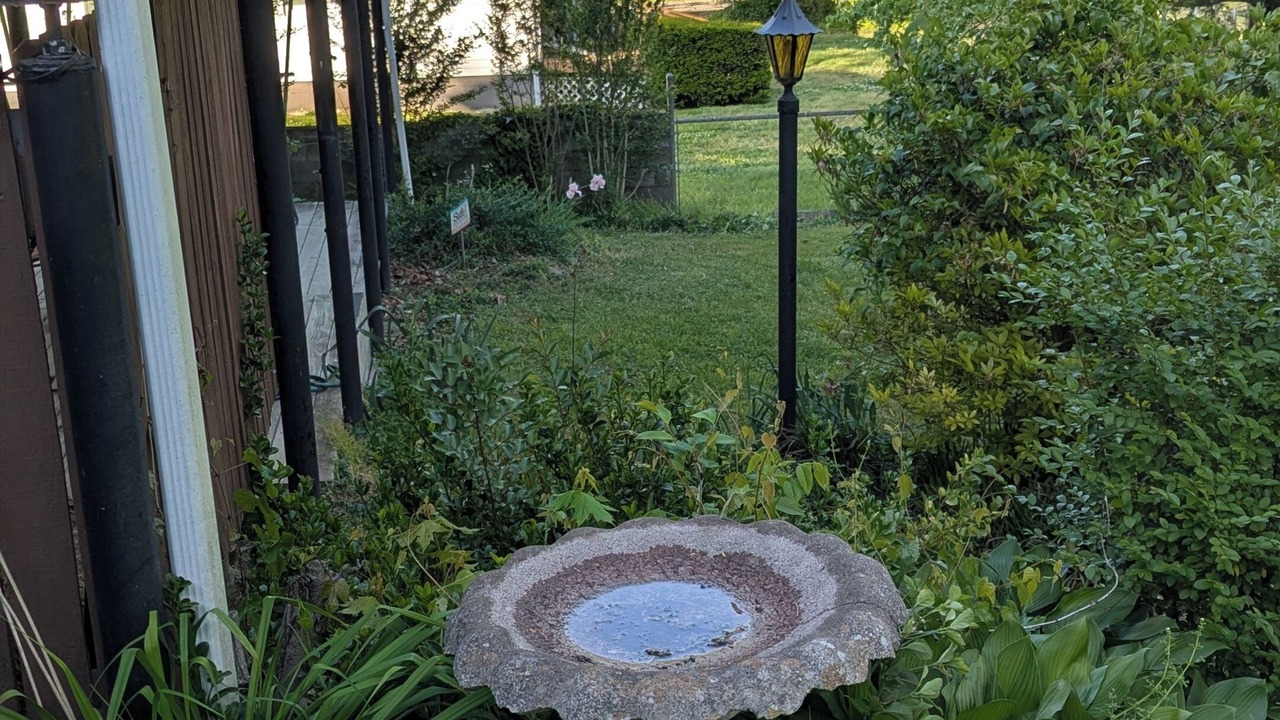 Photo of Outdoor in Harriman