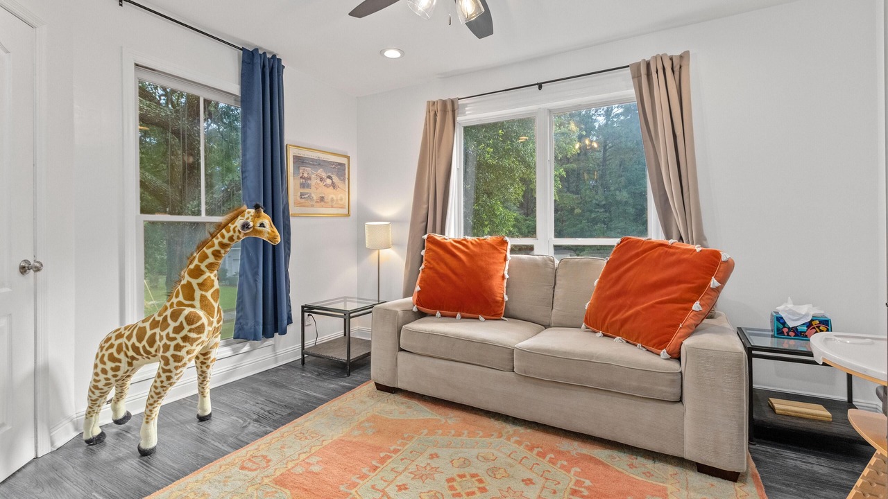 Photo of Livingroom in Mount Pleasant