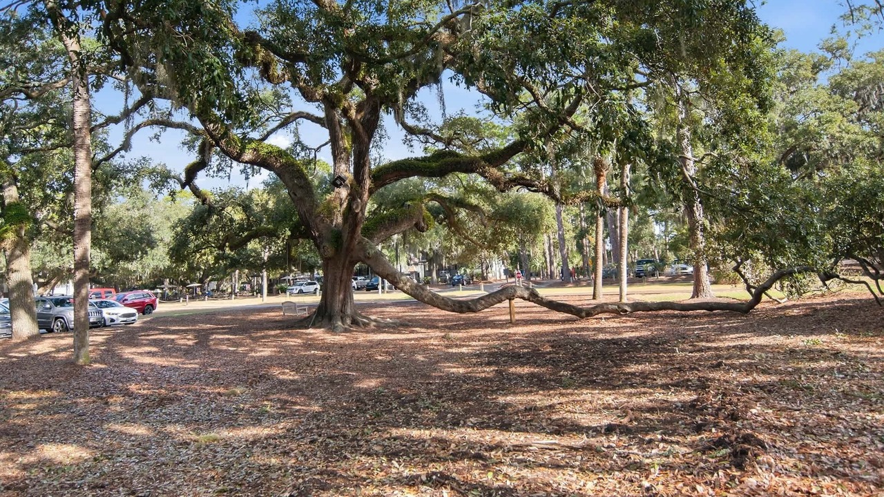 Photo of Others in Harbour Town