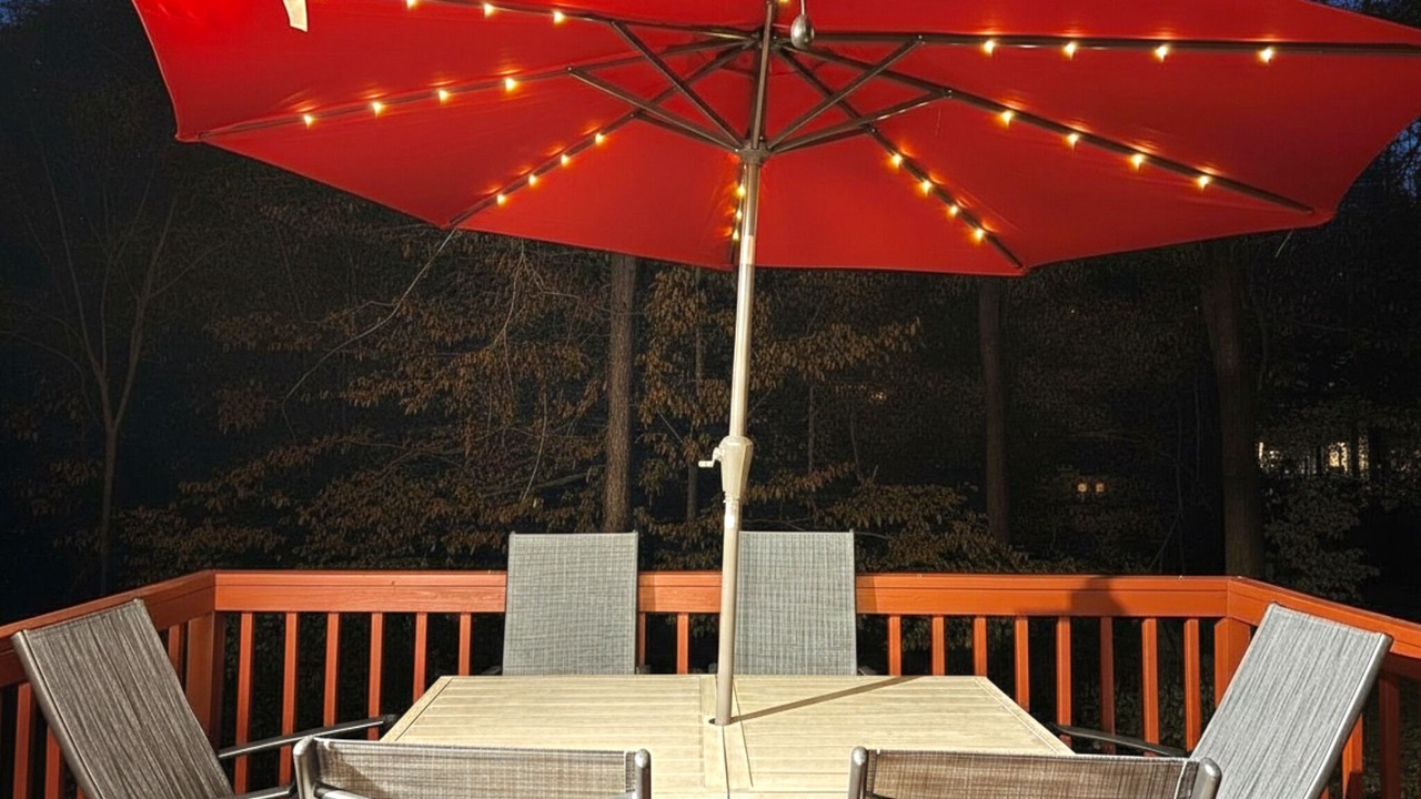 Photo of Outdoor in Northwest Raleigh