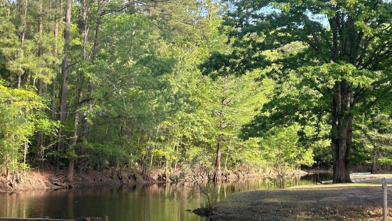 Photo of Others in Conway