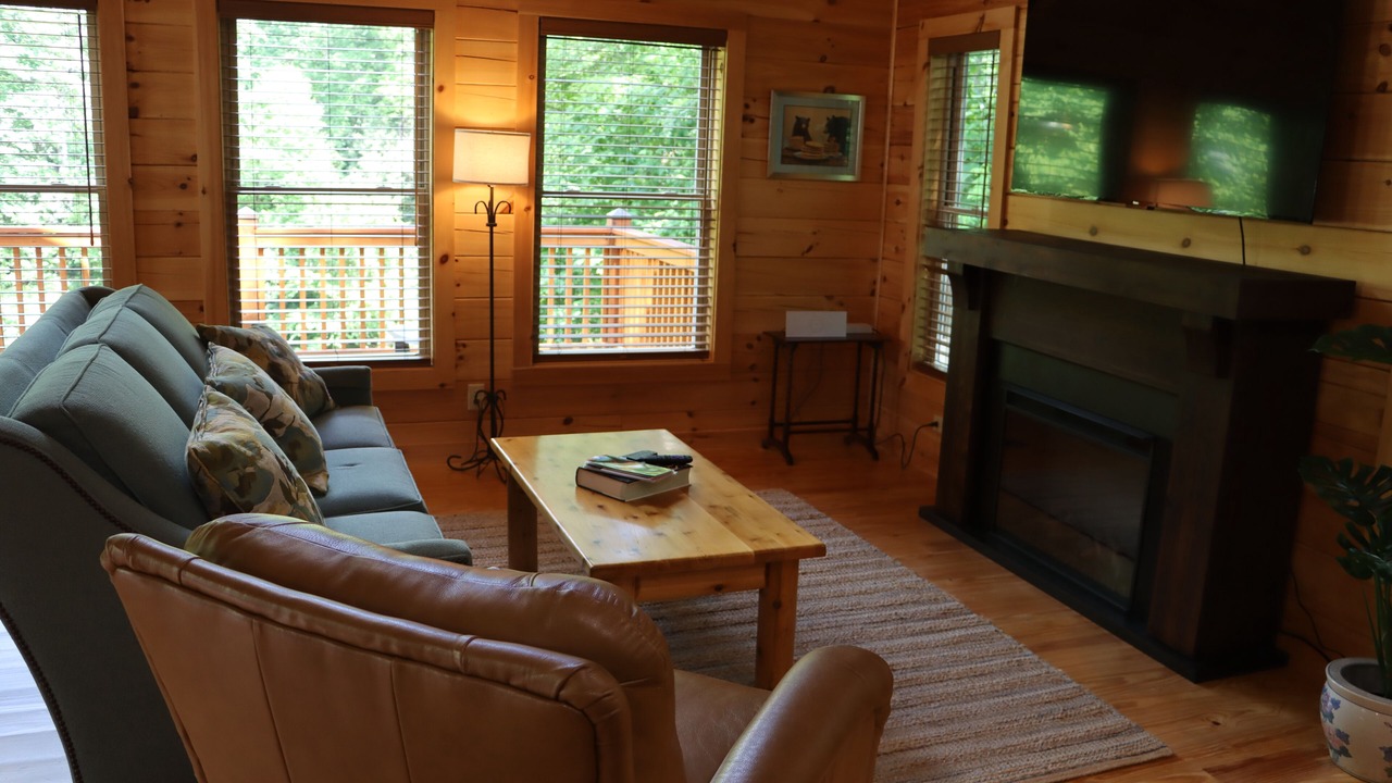 Photo of Livingroom in Hendersonville
