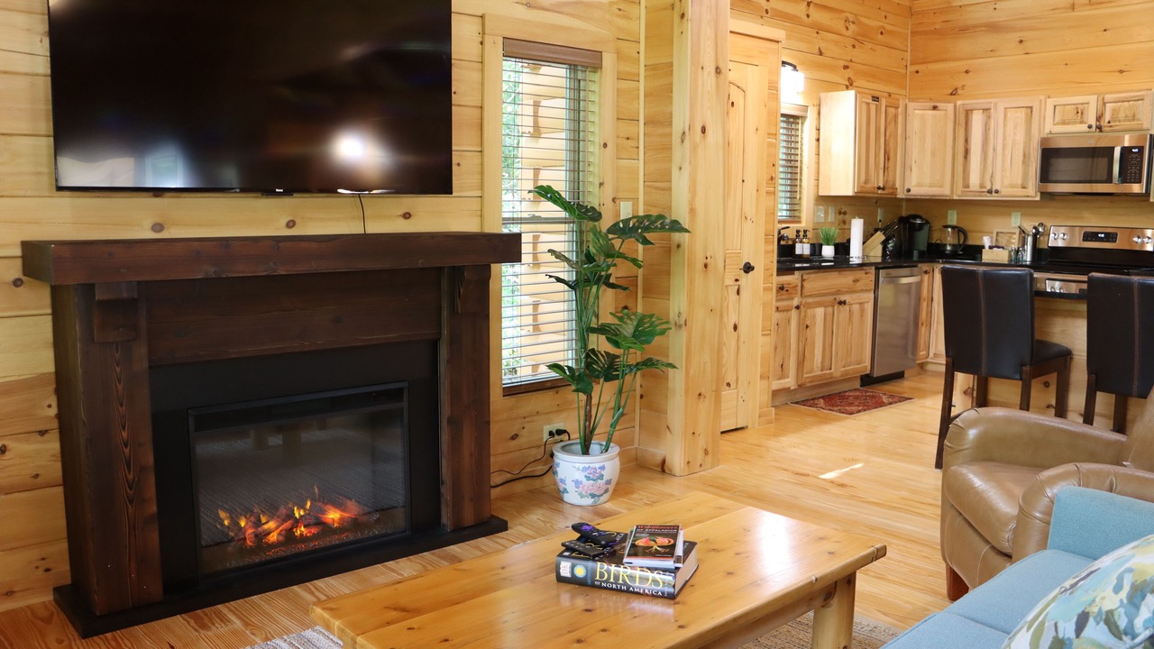 Photo of Livingroom in Hendersonville