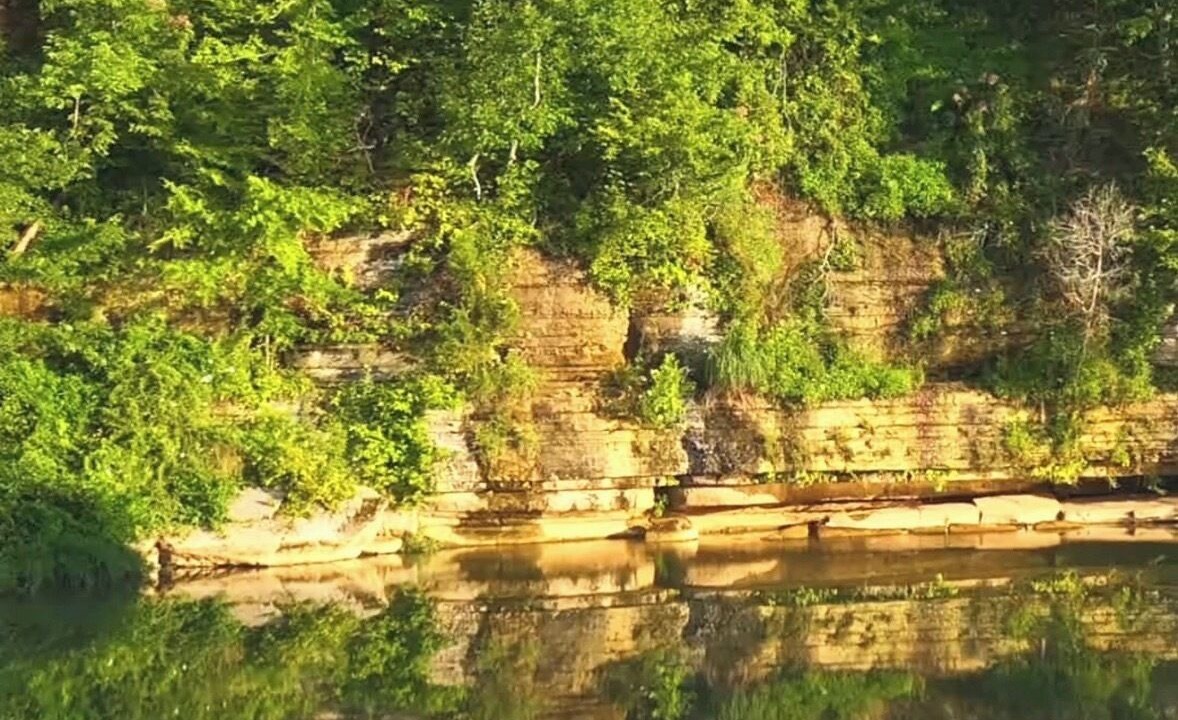 Photo of Others in Waynesboro