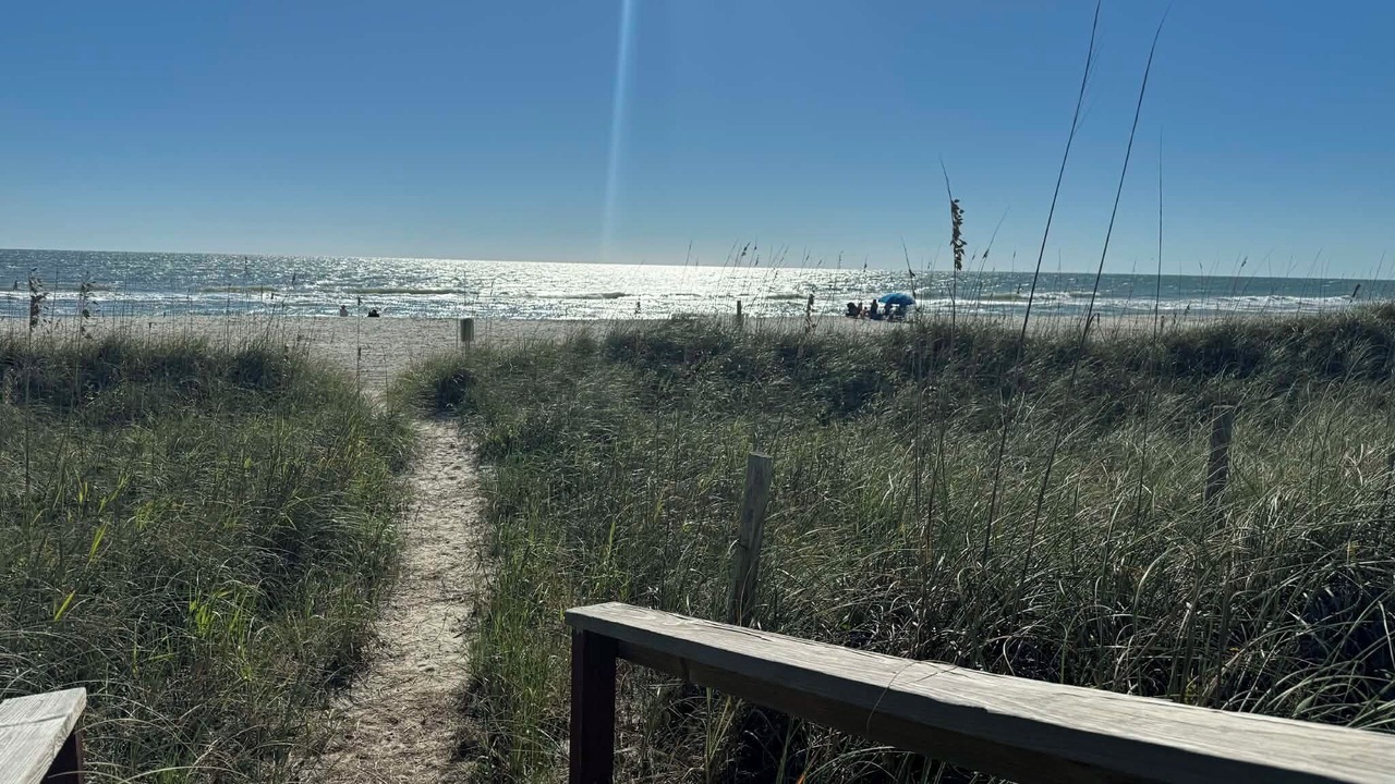 Photo of Others in Carolina Beach
