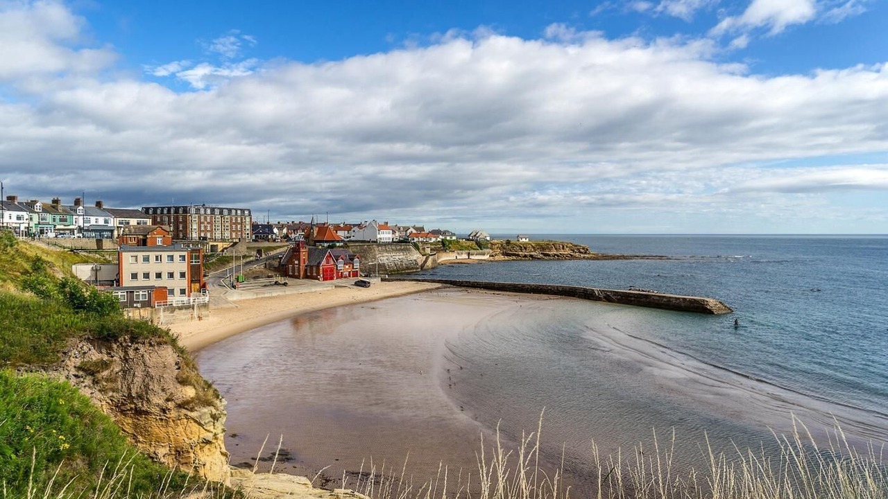 Photo of Others in Tynemouth