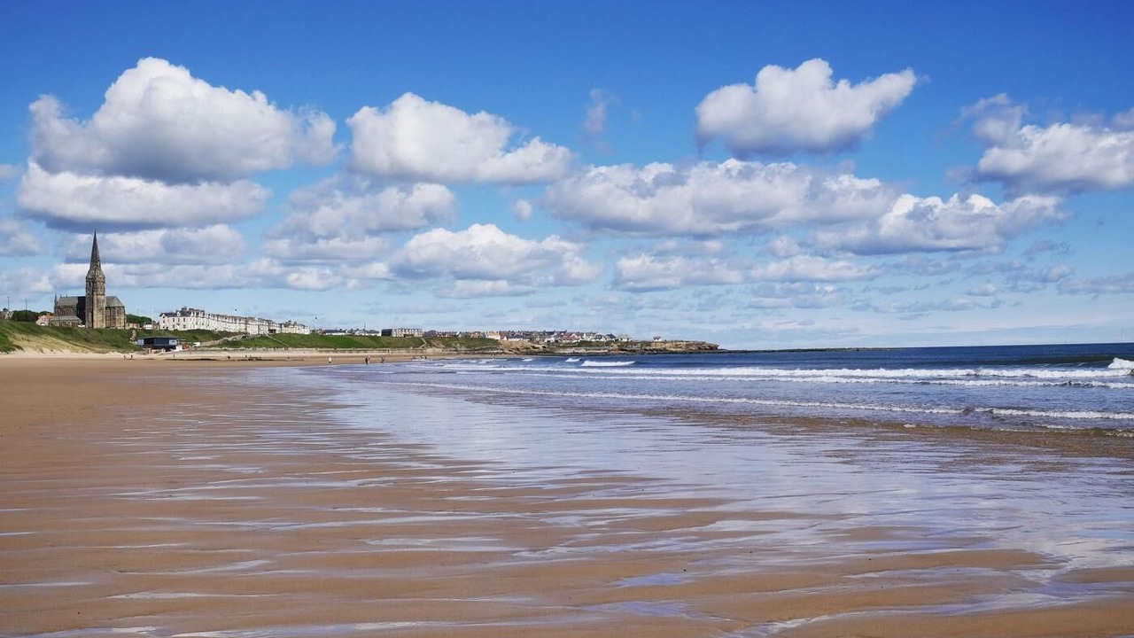 Photo of Others in Tynemouth