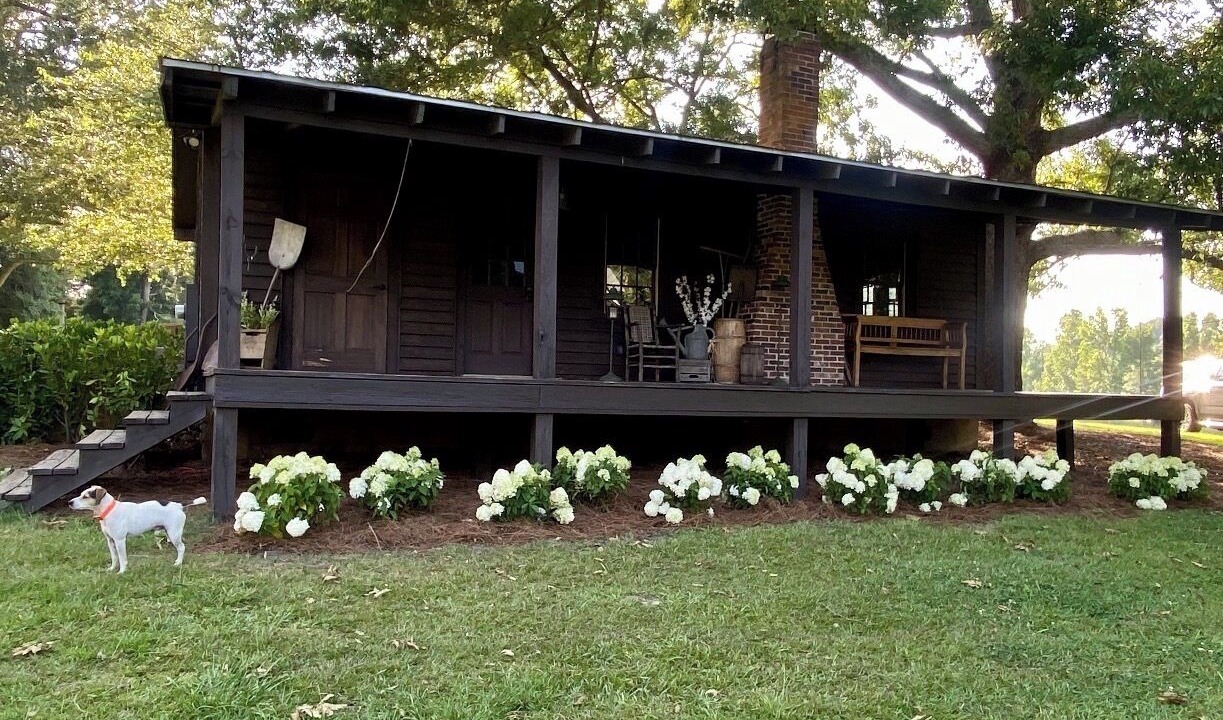 Photo of Outdoor in Thomson