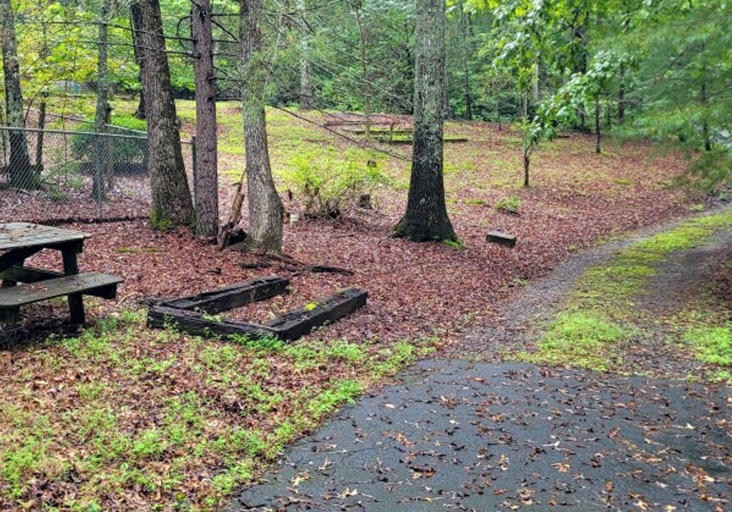 Photo of Outdoor in Murphy