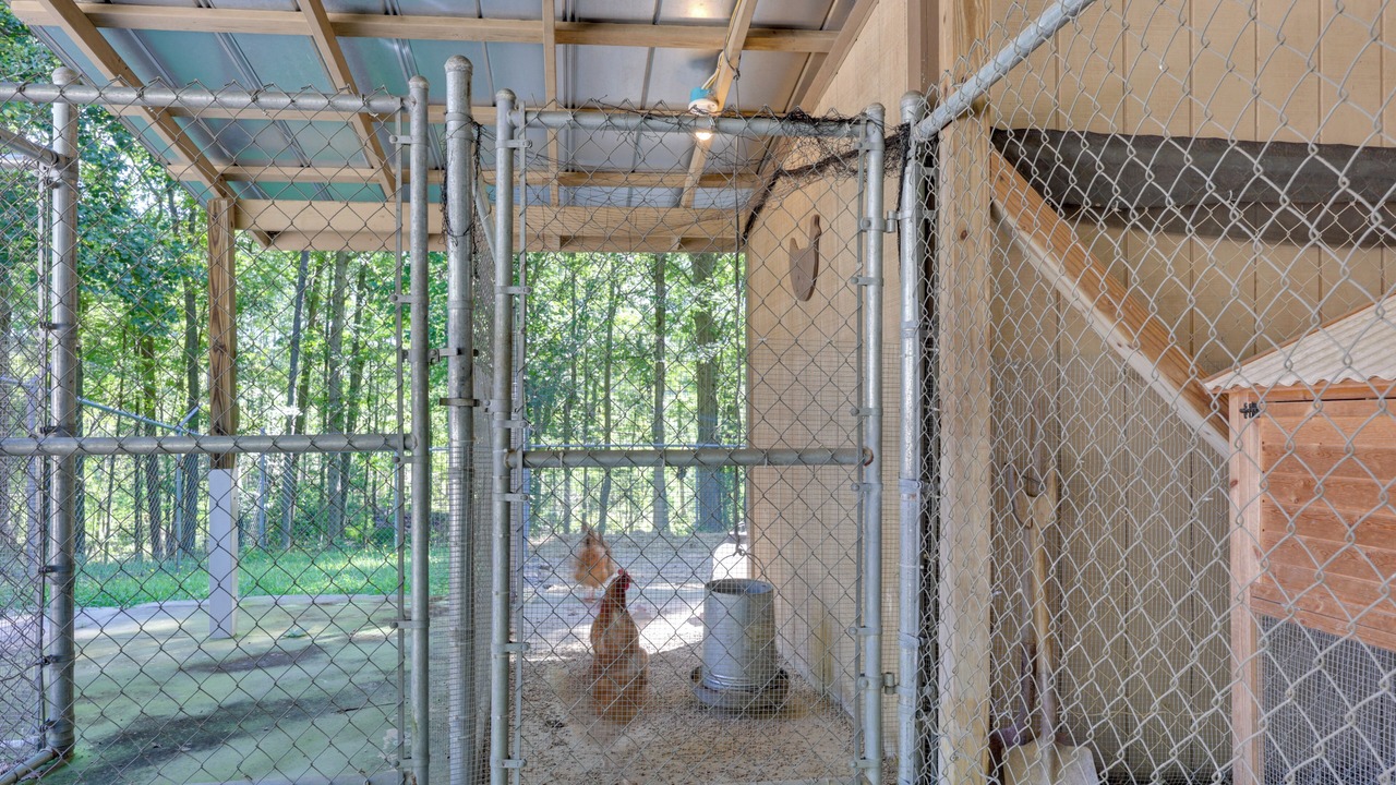 Photo of Outdoor in Louisburg