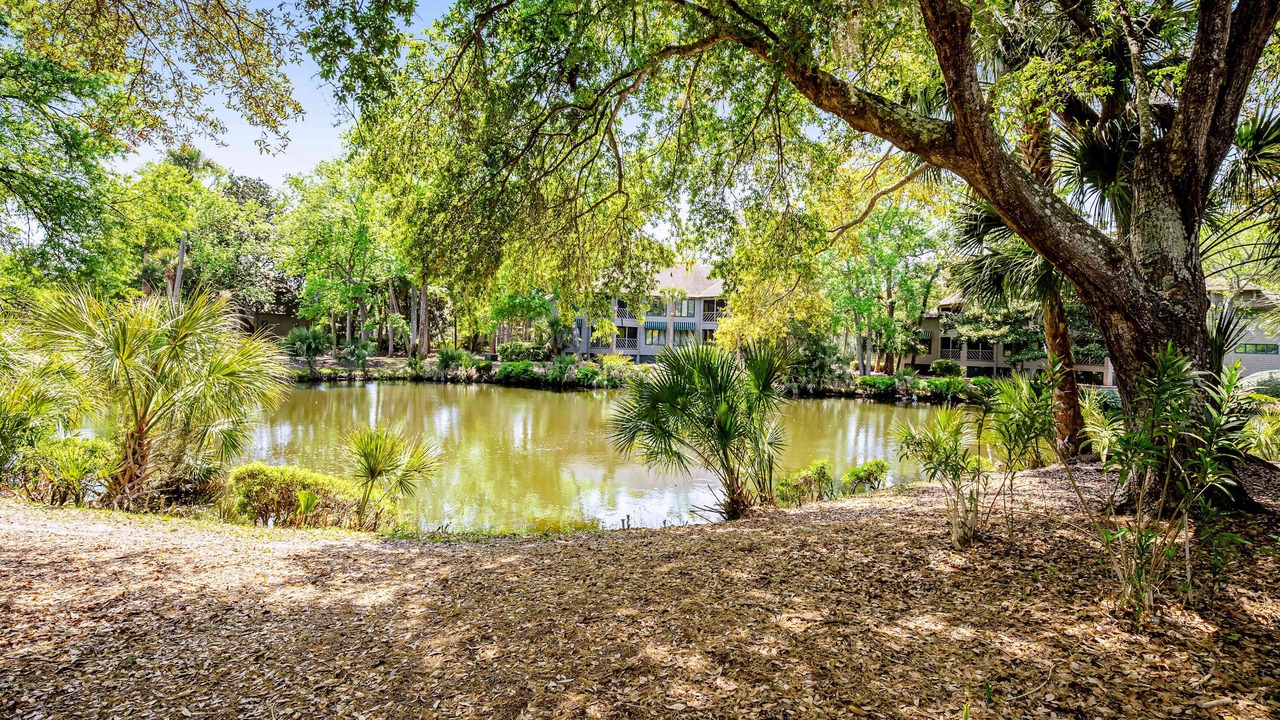 Photo of Outdoor in Kiawah Island