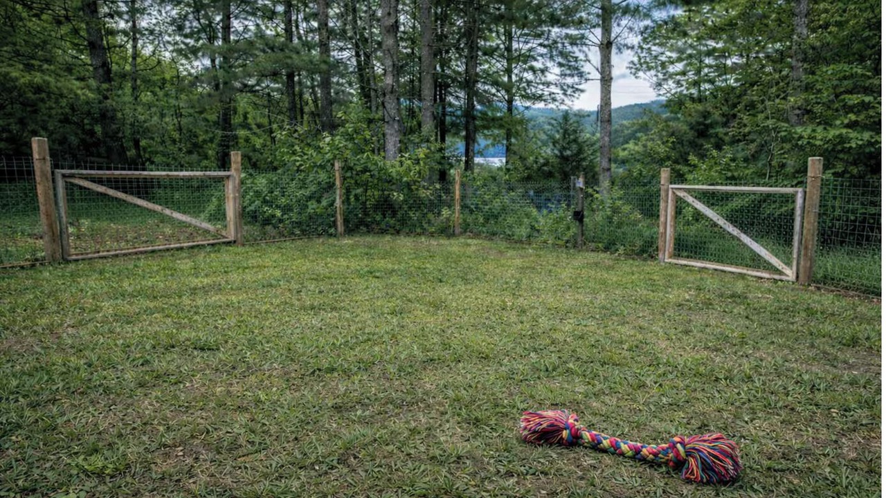 Photo of Others in Cullowhee