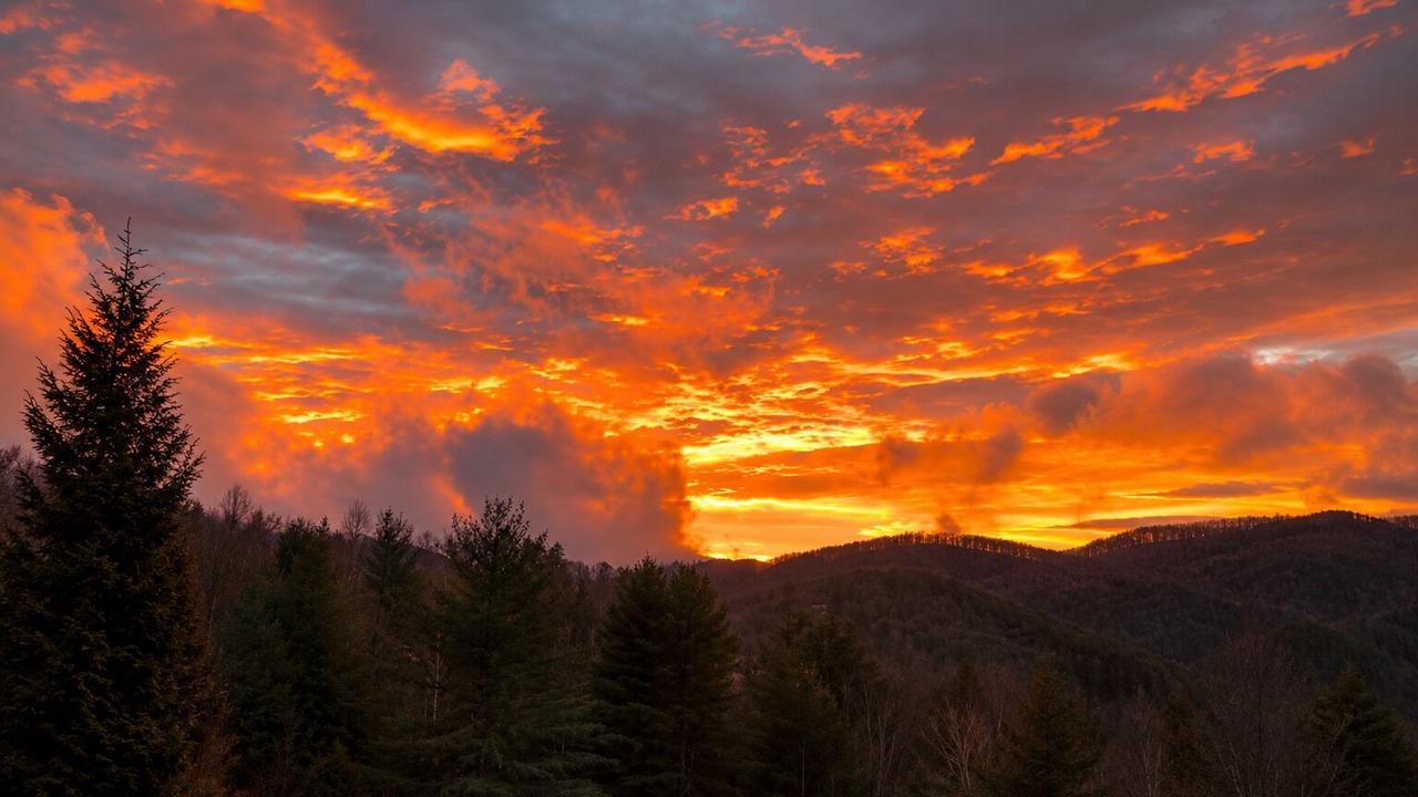 Photo of Others in Cullowhee
