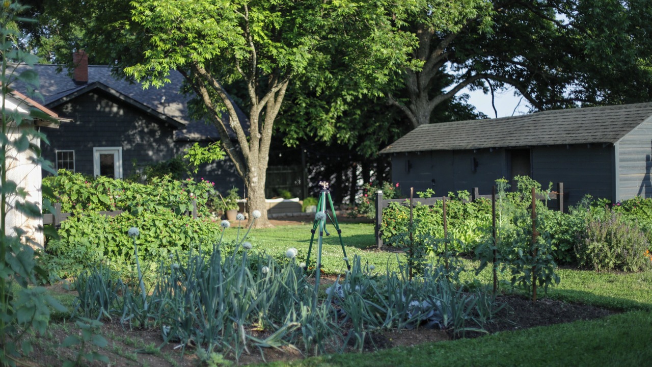 Photo of Outdoor in Salisbury