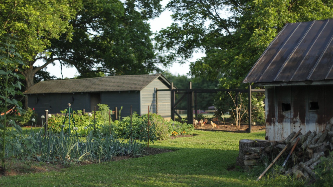 Photo of Outdoor in Salisbury