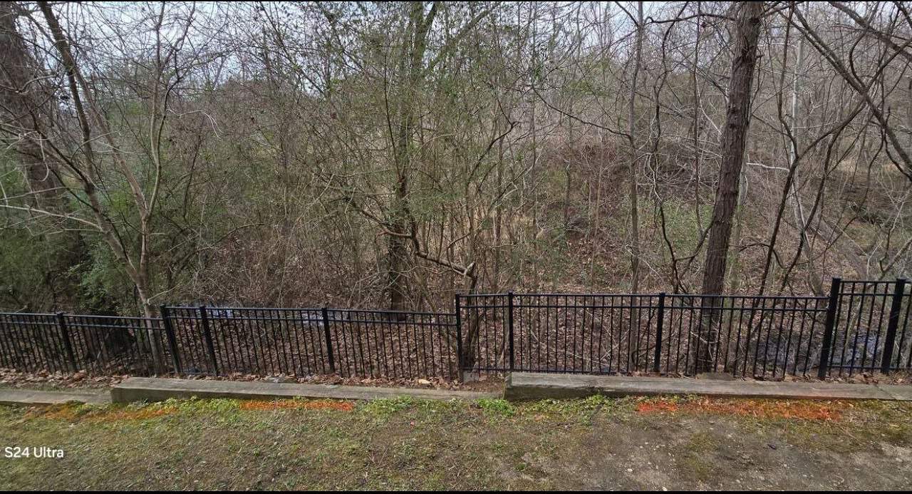Photo of Outdoor in North Raleigh